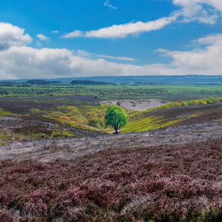 아파트 Ewe - Uk48824 *